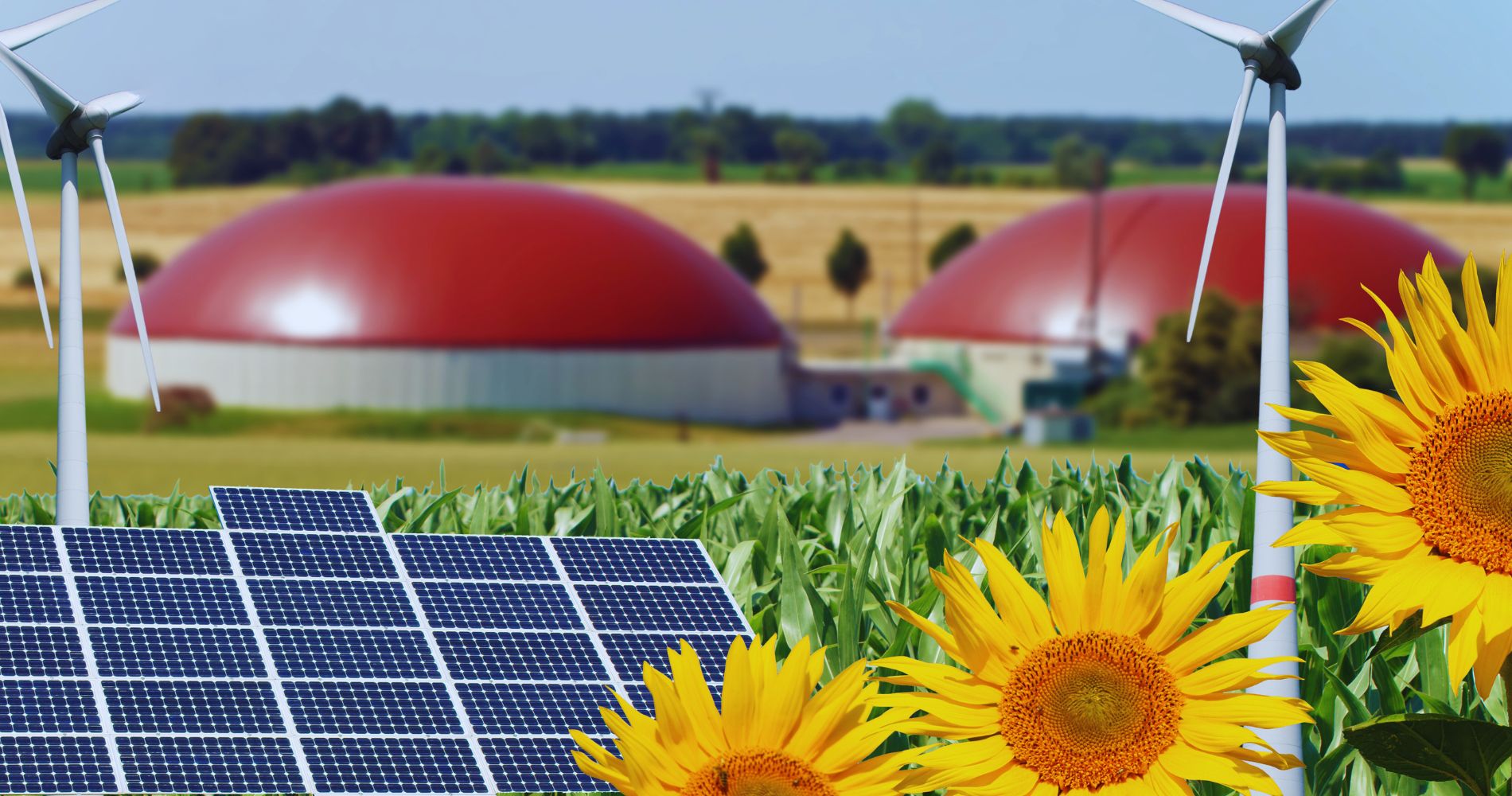 Energias Renováveis no Brasil e a Importância da COP28
