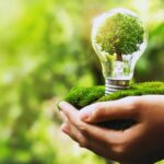 Brasil traça novo horizonte com transformação ecológica e energética