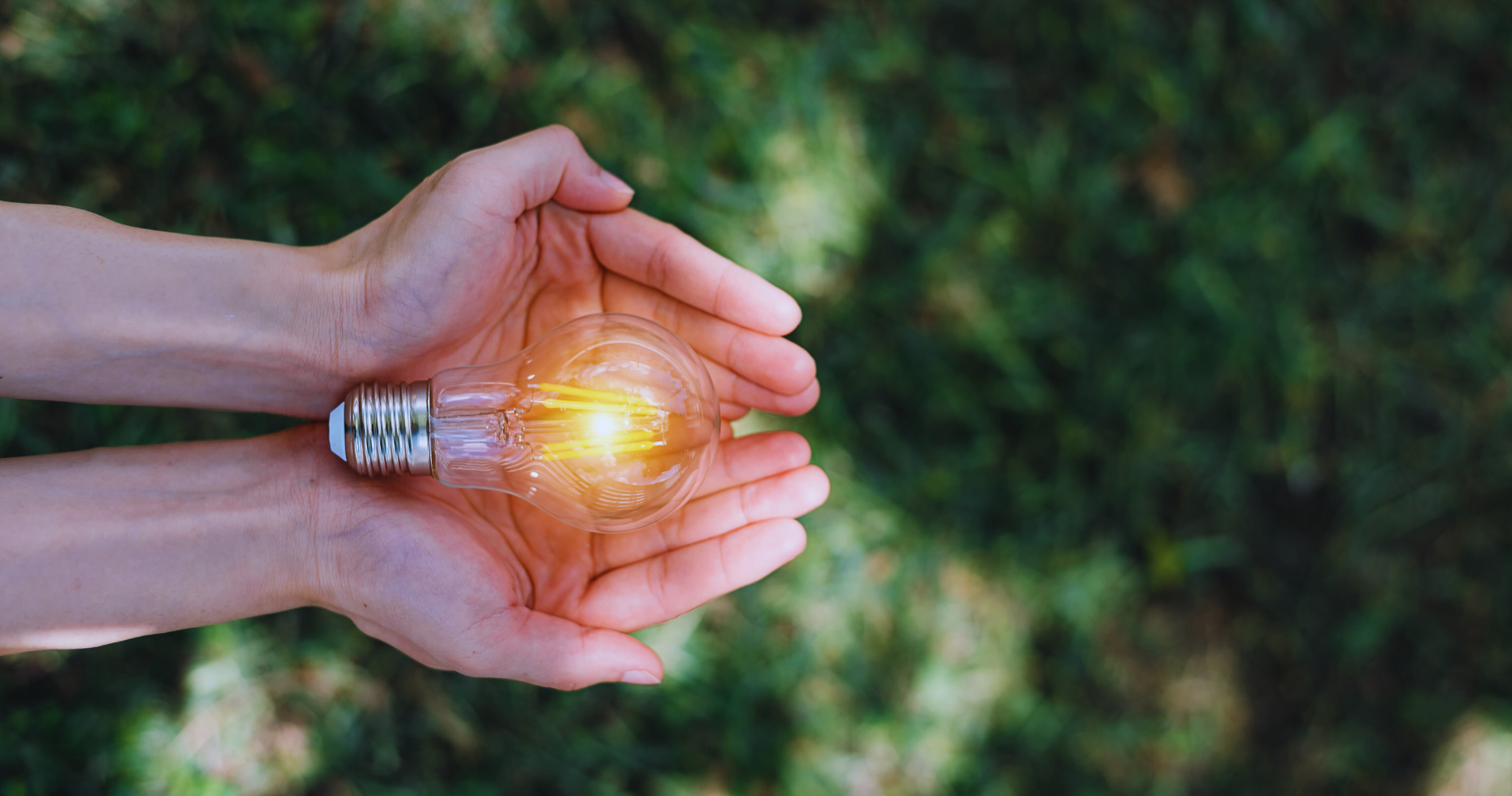 Empresas e Energia Renovável: O Papel Vital para um Futuro Sustentável