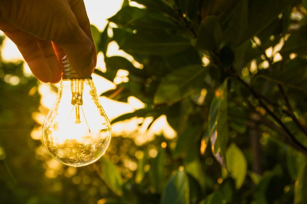 Energia limpa impulsiona sustentabilidade e transforma economias globais