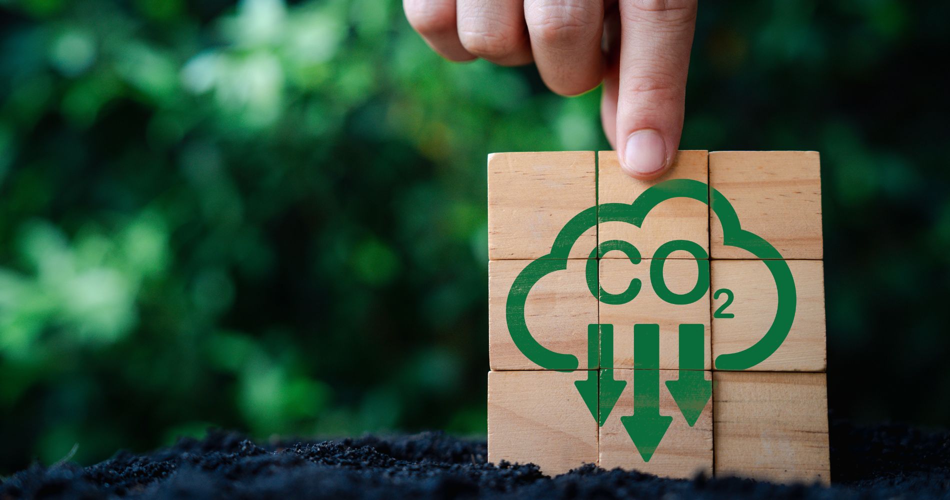 Bioenergia e Captura de Carbono: O Brasil pode liderar essa transformação?