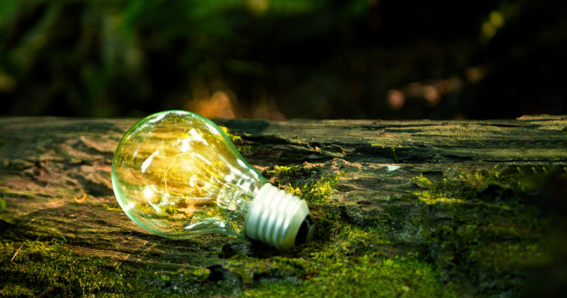 UAE Consensus estabelece metas globais para triplicar renováveis e dobrar eficiência energética até 2030