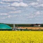 Brasil Apresenta Soluções Climáticas em Meio a Esforços Globais por um Futuro Sustentável