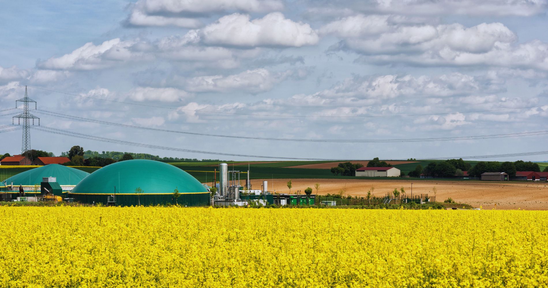 Brasil Apresenta Soluções Climáticas em Meio a Esforços Globais por um Futuro Sustentável