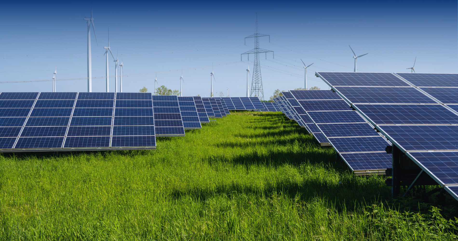 Mudanças Climáticas e Mitigação: O Imperativo de 2025 para um Futuro Sustentável