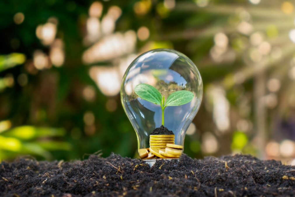 Transição Energética no Brasil: A Conta de 6% do PIB e o Desafio de Financiar um Futuro Sustentável