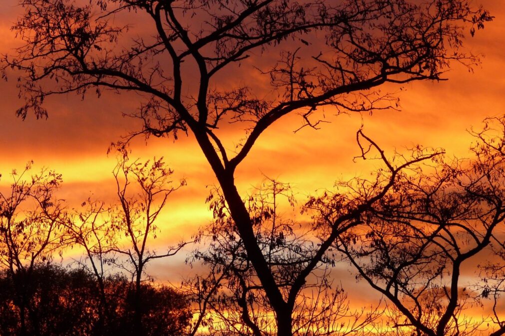 Alerta Vermelho Climático: OMM Prevê Anos Mais Quentes e Impactos Severos até 2029