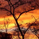 Alerta Vermelho Climático: OMM Prevê Anos Mais Quentes e Impactos Severos até 2029