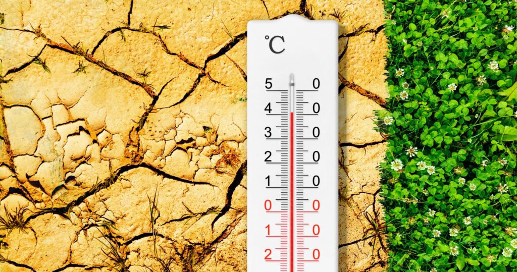 Como a corrida pela energia limpa se tornou a única saída para a crise climática