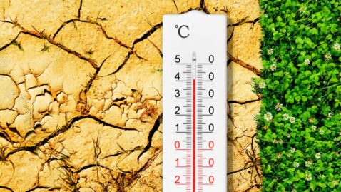 Como a corrida pela energia limpa se tornou a única saída para a crise climática