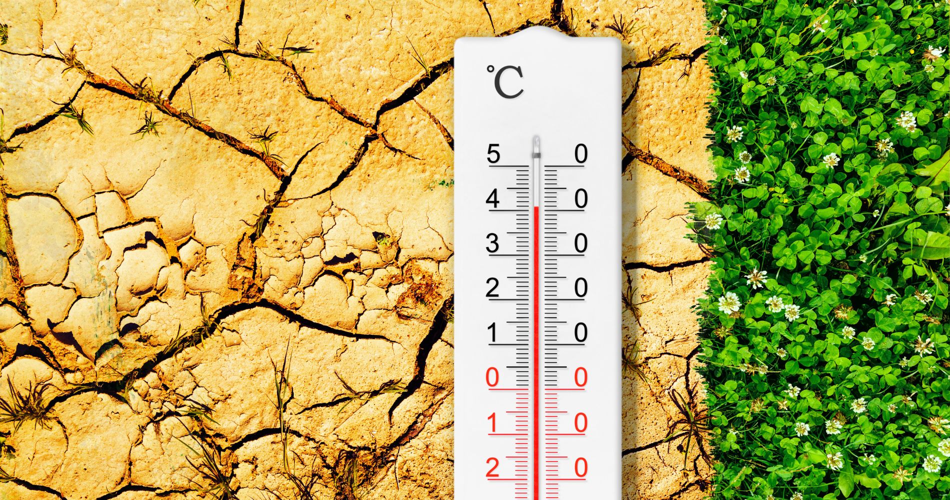 Como a corrida pela energia limpa se tornou a única saída para a crise climática