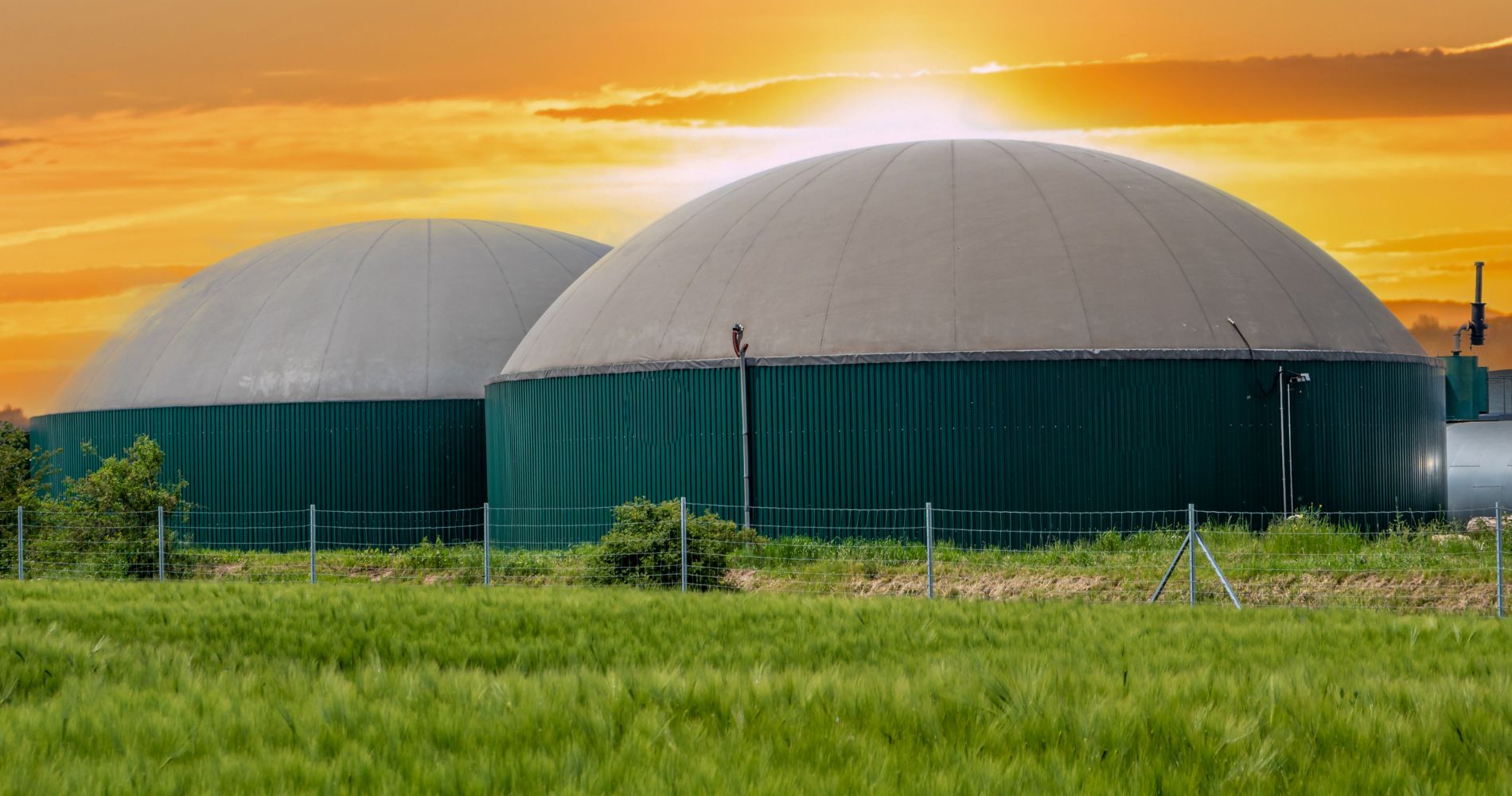 Do passivo ambiental ao ativo estratégico para o Brasil