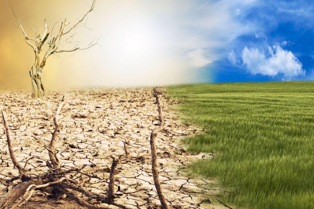 O ESTUDO QUE QUANTIFICA O CUSTO DA INAÇÃO CLIMÁTICA: R$ 17 TRILHÕES ATÉ 2050