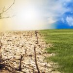 O ESTUDO QUE QUANTIFICA O CUSTO DA INAÇÃO CLIMÁTICA: R$ 17 TRILHÕES ATÉ 2050