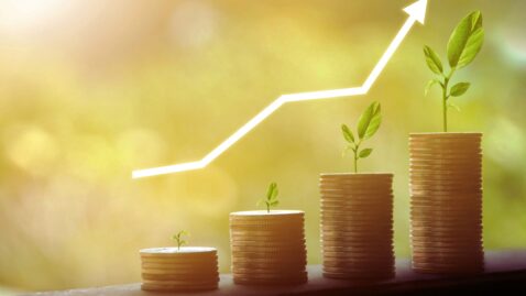 Descarbonização Sai do Discurso e Entra nas Planilhas